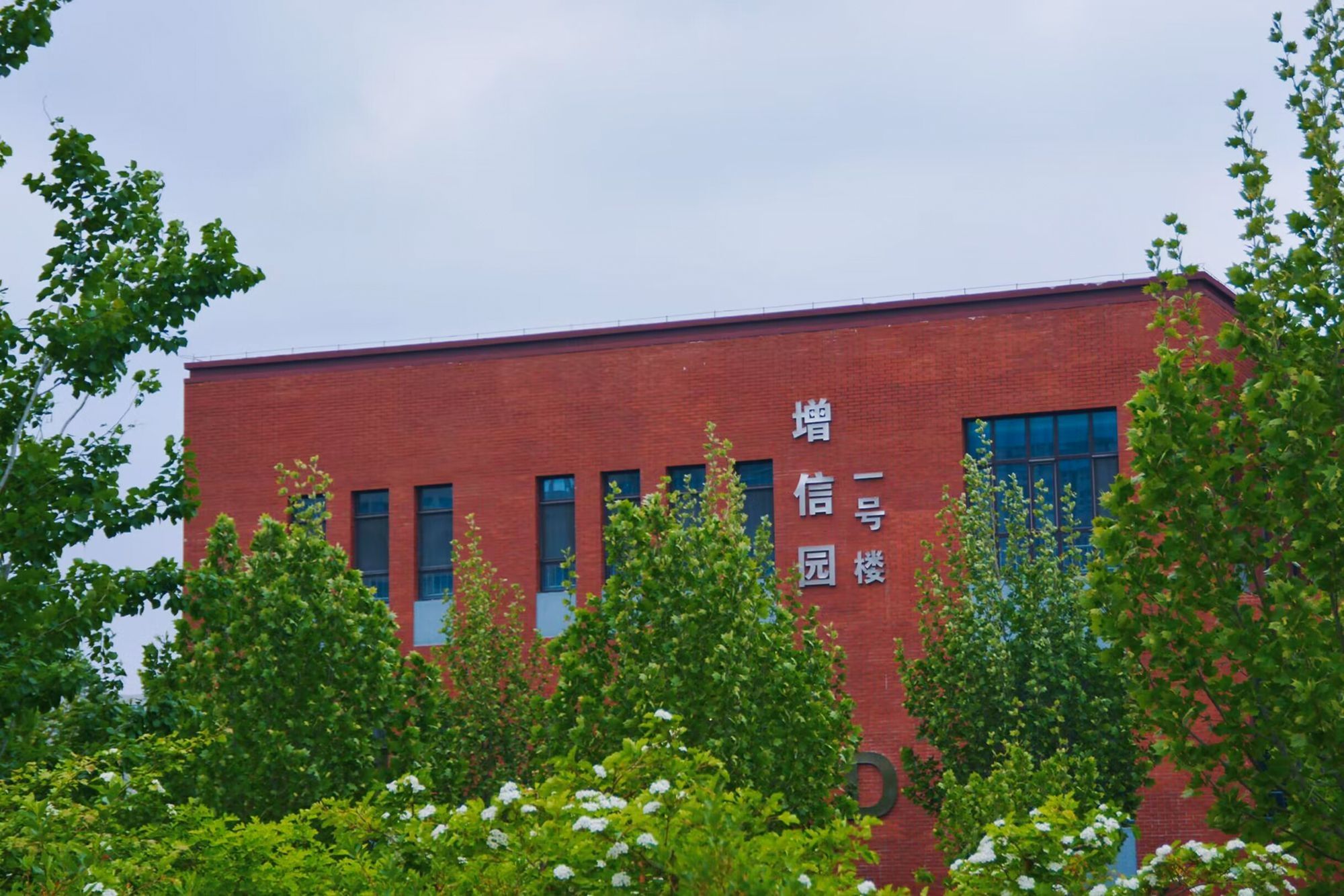16